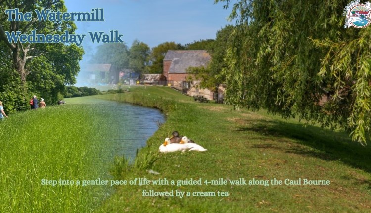 Isle of Wight, Calbourne Water Will, Guided Walks, Wednesday Afternoon Walks,