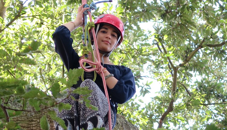 Lady climbing a tree, Goodleaf Tree Climbing, activity, Cowes Week, event, what's on, Isle of Wight