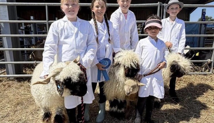 Children enjoying young handler academy at IOW Rare Breeds, children's events, days out with kids