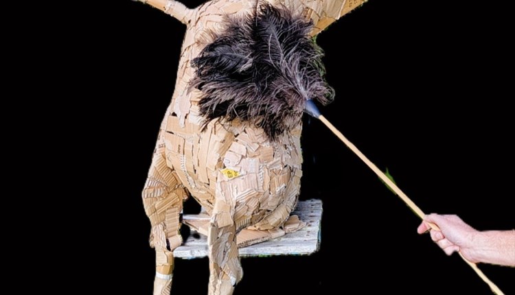 Exhibition at quay arts newport, Isle of Wight, whats on, arts and culture events