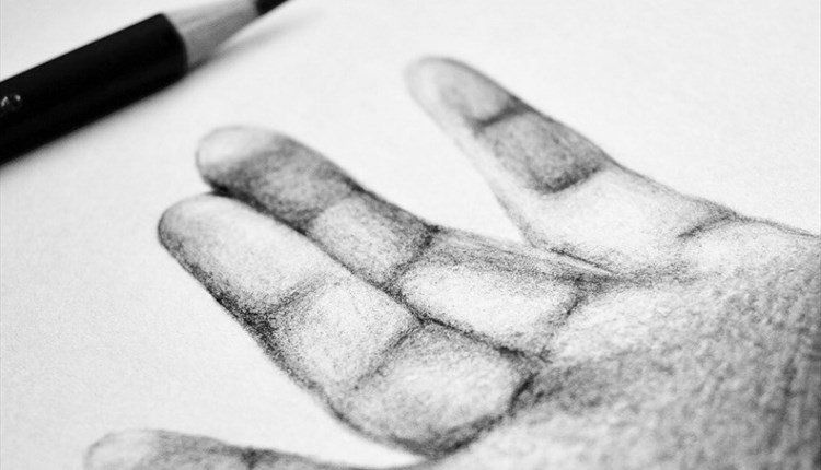 6-Week Beginners Drawing Course