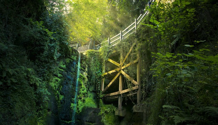 Waterfall at Shanklin Chine, Things to Do, Isle of Wight