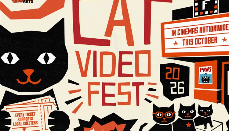 Cat video fest at quay arts newport, Isle of Wight, night life events, whats on, Isle of Wight