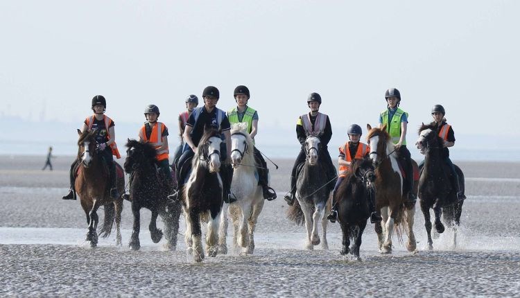 Group of people riding horses on the beach, Fairfields Farm Riding School, Ryde, Isle of Wight, children's activities, family fun, adventure rides