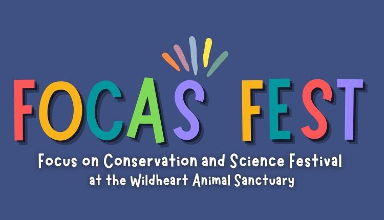 FOCAS Festival poster, conservation and science festival at Wildheart Animal Sanctuary, Sandown, Isle of Wight