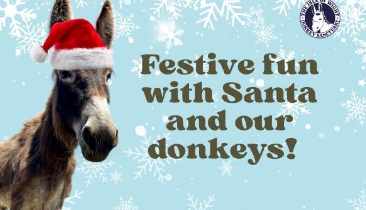 Isle of Wight, Christmas Fun, Isle of Wight Donkey Sanctuary, Wroxall