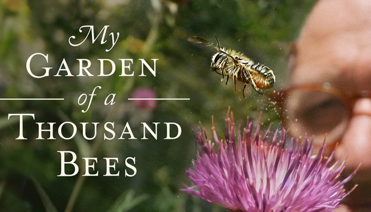 My Garden of a Thousand Bees
