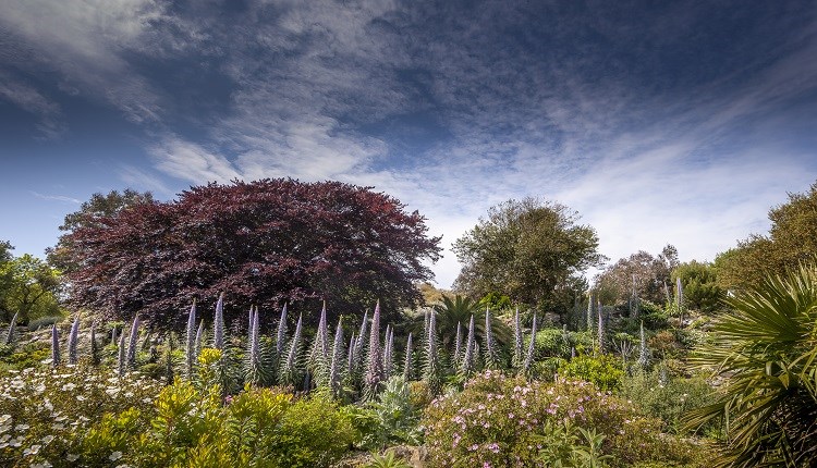 Ventnor Botanic Garden, Ventnor, Things to Do, Outdoor space