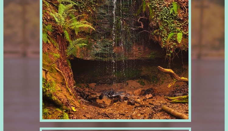 Waterfall sound bath at Ventnor botanic gardens, Isle of Wight, health and wellbeing events
