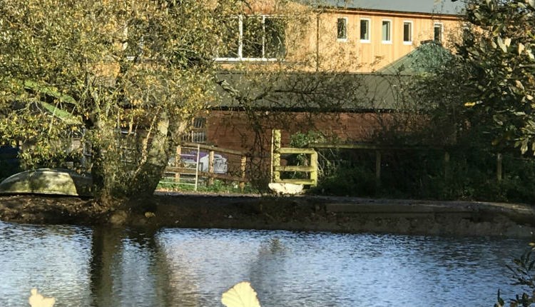 Godshill Park Barn GODSHILL Visit Isle Wight