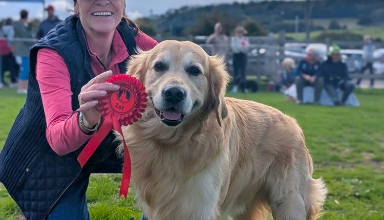 Fun dog show at Isle of Wight donkey sanctuary, days out, family friendly events