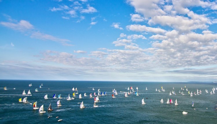 Live Music & The Island Boat Race