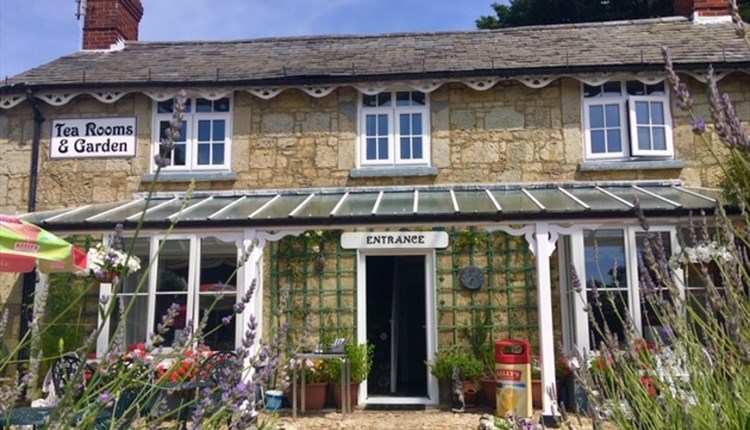Isle of Wight, Eating Out, Tearooms and Garden, SHANKLIN Old Village, Laburnum Cottage