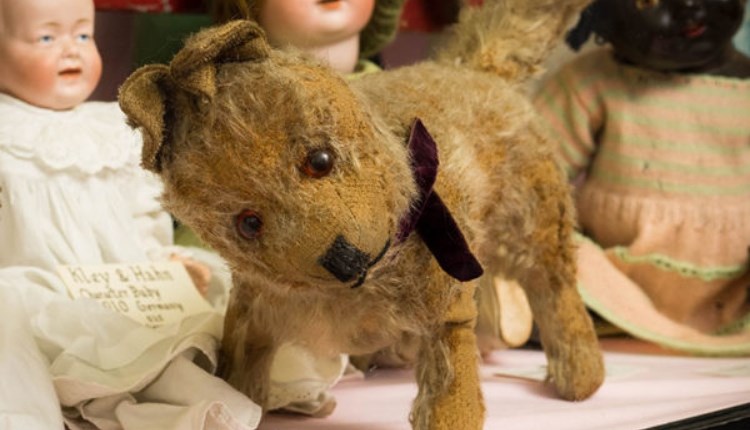 Isle of Wight, Things to do, Lilliput Doll and Toy Museum, Open Day, 50th Anniversary, 1920's stuffed toy dog. RAGs

