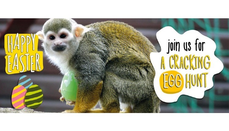 Monkey Haven Easter poster, What's On, Events, Isle of Wight