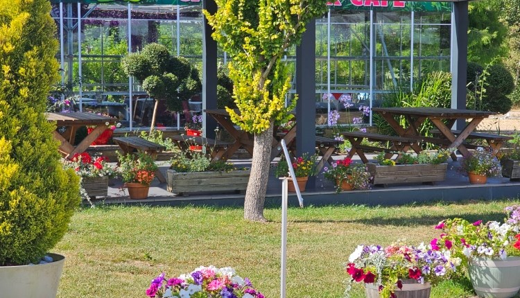 Isle of Wight, Things to do, Medina Garden Centre and Butterfly World, Garden area