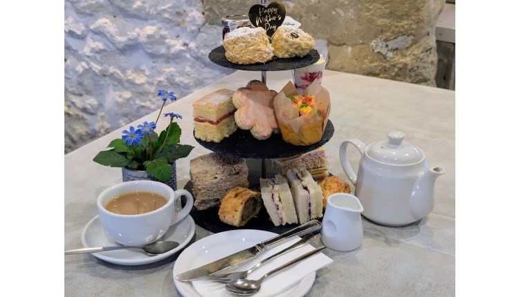 Isle of Wight, Things to do, Mothers day, afternoon tea, Isle of Wight Donkey Sanctuary