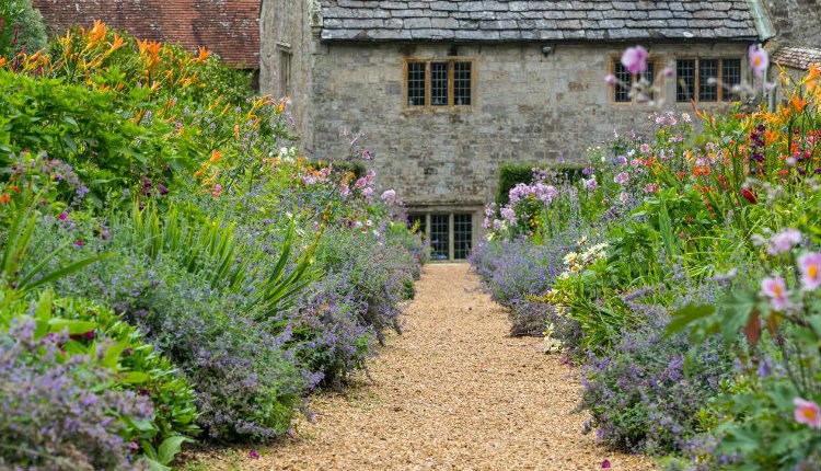 Isle of Wight, Things to Do, Mottistone Gardens, What's On