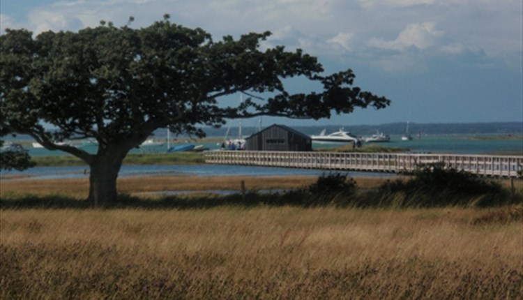 Newtown creek, nature trail, Isle of Wight, What's On