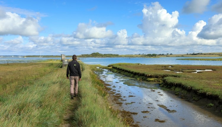 Isle of Wight, Things to do, Guided Walk, Newtown, National Trust