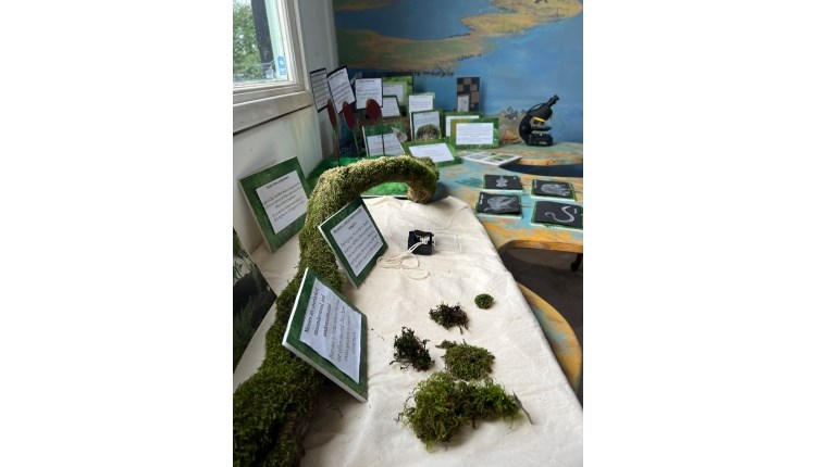 Isle of Wight, things to do, National Trust Visitor Centre, Newtown, Moss on display