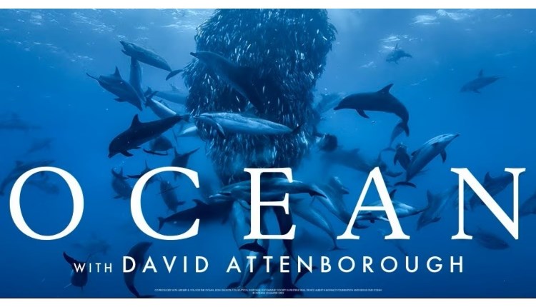 Isle of Wight, Things to do, Garlic Farm, Screening of Ocean with David Attenborough, Newchurch