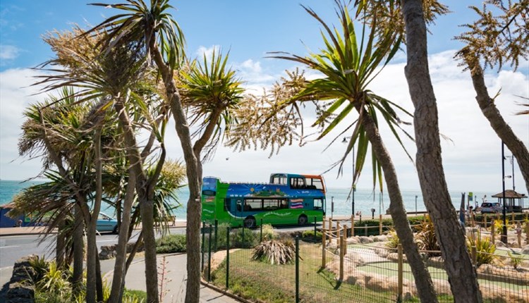 Southern Vectis - The Island's Buses