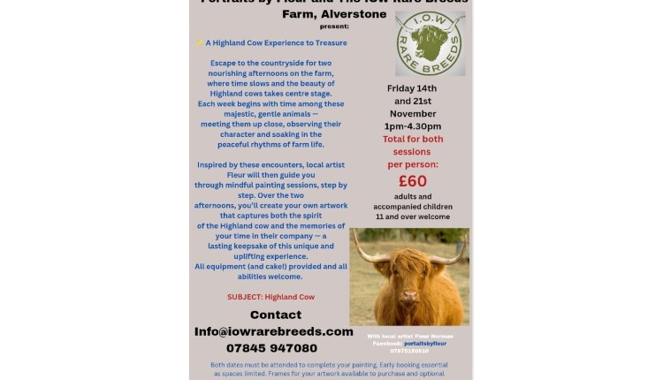 Paint your Own Highland Cow