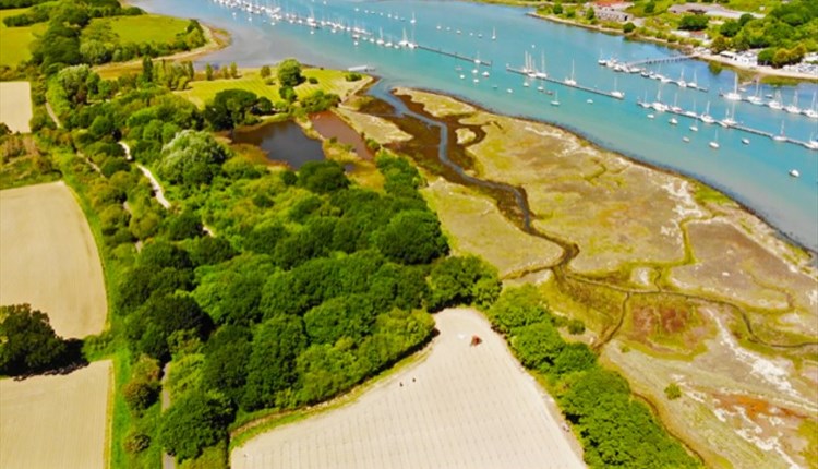 Isle of Wight, Pinkmead Estate and Vineyard, aerial view