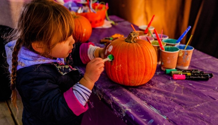 Isle of Wight, October Half Term, Autumn, Tapnell Farm, Pumpkin Decorating