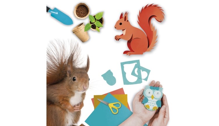 Isle of Wight, Things do to, half term, Quarr Abbey, Activities