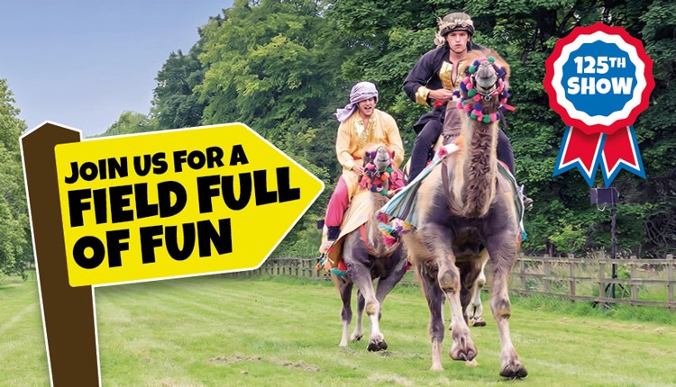 Camel racing at the Royal Isle of Wight County Show  2023 - What's On, events