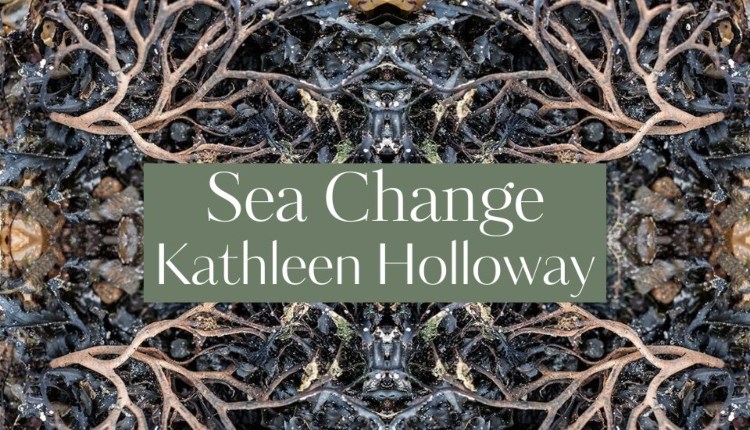 Isle of Wight, Things do to, Dimbola, Photography, Sea Change, Kathleen Holloway