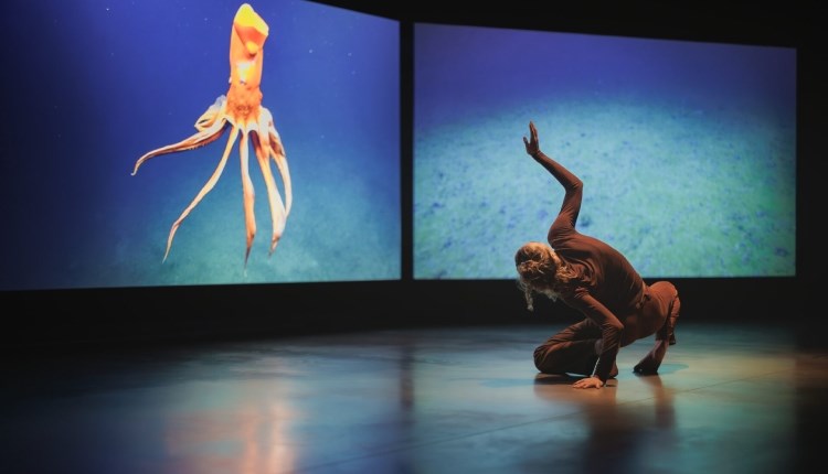 Isle of Wight, Things to do, Quay Arts, Newport