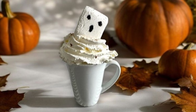 Isle of Wight, Things to do, Events, Family, Half Term, Halloween, Isle of Wight Pearl, Brighstone