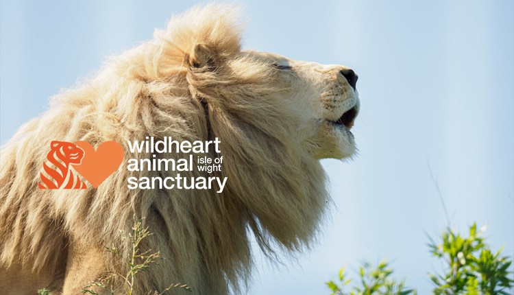 Isle of Wight, Wildheart Animal Sanctuary, Things to do, Events, Sunrise Breakfasts