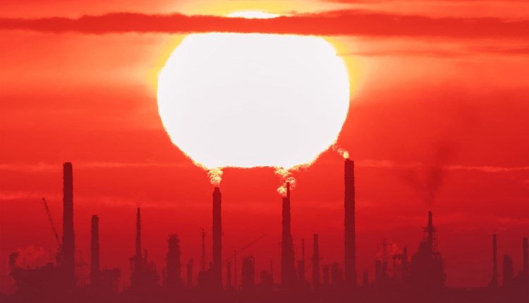 Isle of Wight, Things to do, Exhibition, Ryde, Where Land Meets Sea