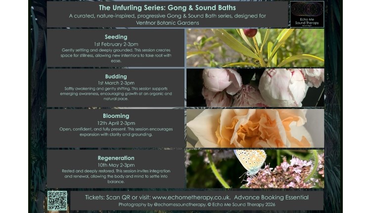Isle of Wight, Things to do, Health and Wellbeing, Gong and Sound Bath, Ventnor Botanic Gardens