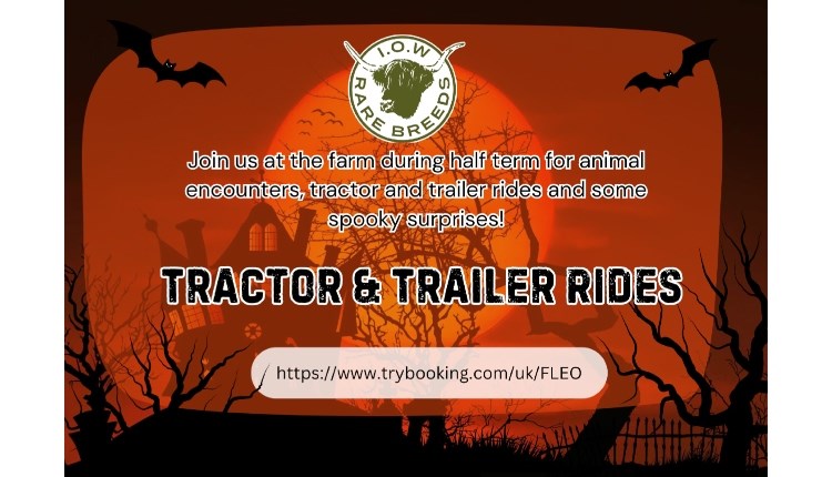 Isle of Wight, Things do to, family fun, Isle of Wight Rare Breeds CIC, Tractor and Trailer Rides