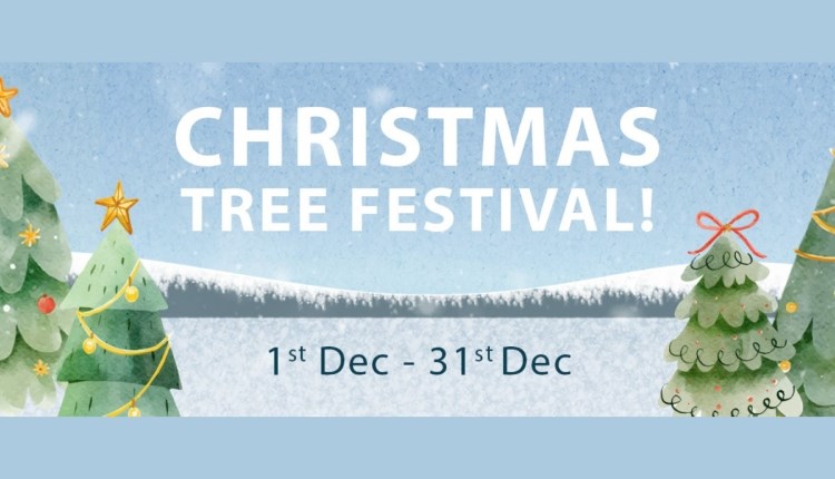 Isle of Wight, Things to do, Events, IOW Pearl Christmas Tree Festival