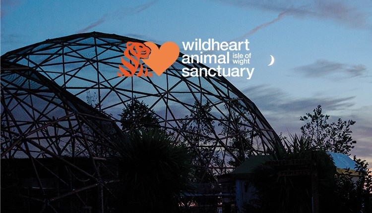 Isle of Wight, Wildheart Animal Sanctuary, Things to do, Events, Twilight Safaris