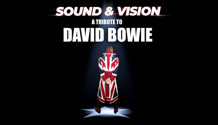 David Bowie tribute poster, Medina Theatre, music, what's on, event, Newport, Isle of Wight