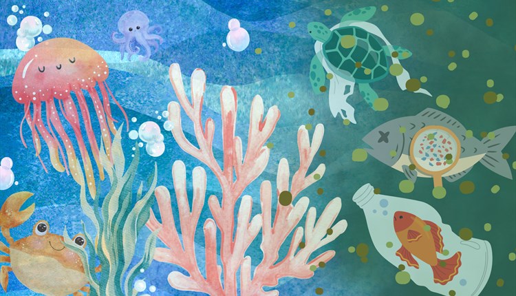 Free family event at quay arts centre, Isle of Wight, family friendly events