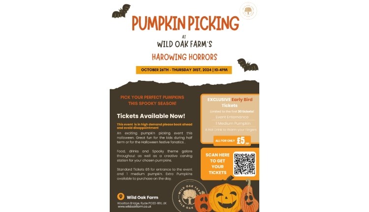 Isle of Wight, Things to do, Pumpkin Picking, Halloween, Wild Oak Farms