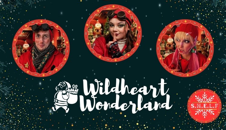 Isle of Wight, Things to do, Events, Christmas, Wildheart Wonderland, Yaverland