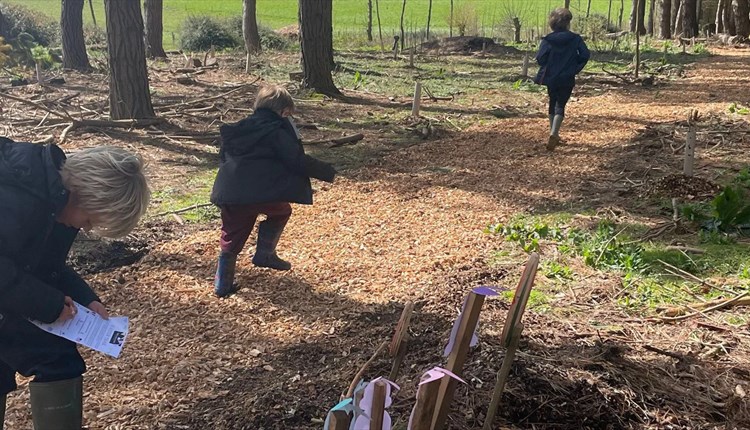 Children taking part in the wildlife walks at The Garlic Farm, children's activities, Summer, family, nature, wildlife, what's on, event, Isle of Wigh