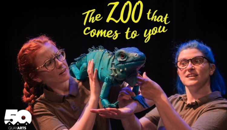 Isle of Wight, Things to do, Quay Arts, Newport, The Zoo that comes to You