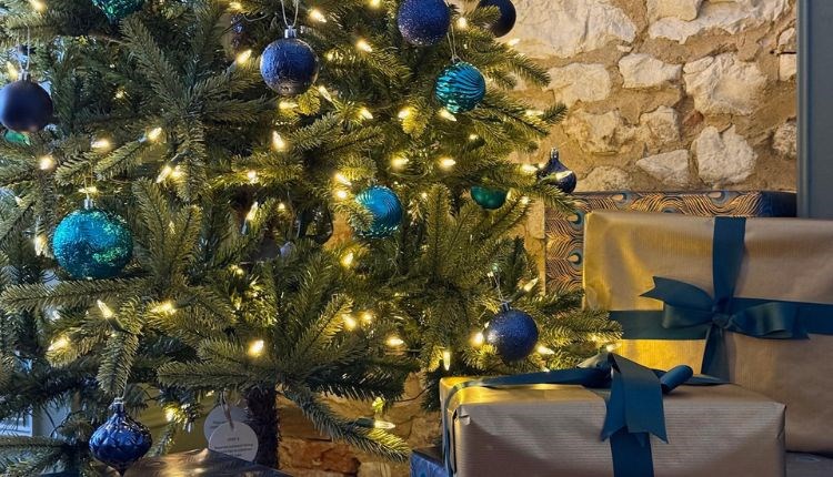 Decorated Christmas tree, Albion Hotel festive break, Freshwater, Isle of Wight, Christmas fun, what's on