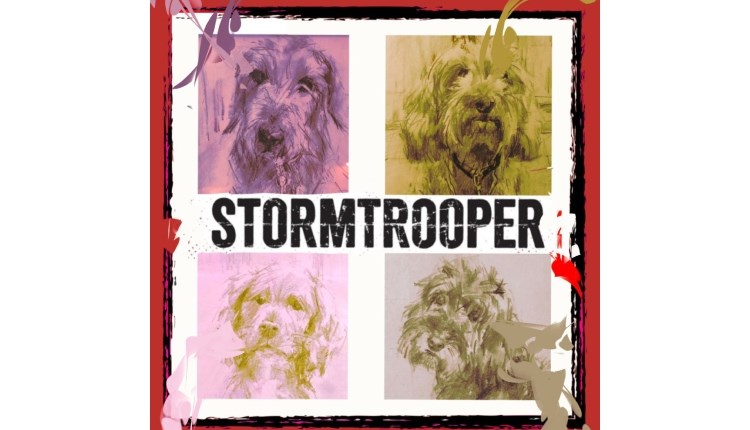 Isle of Wight, Things to do, Events, Live Music, Quay Arts, Newport, Stormtrooper