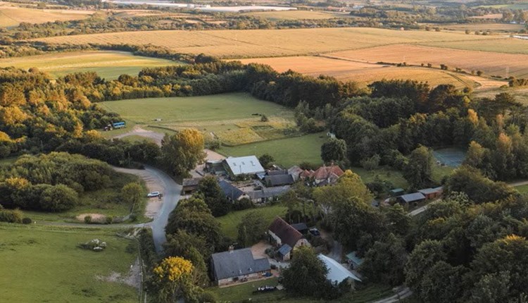 Farm Net 'Positive': Carbon Balance and Biodiversity, with Profitable Production